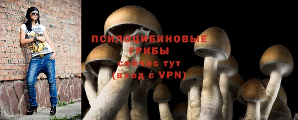 первитин Абаза