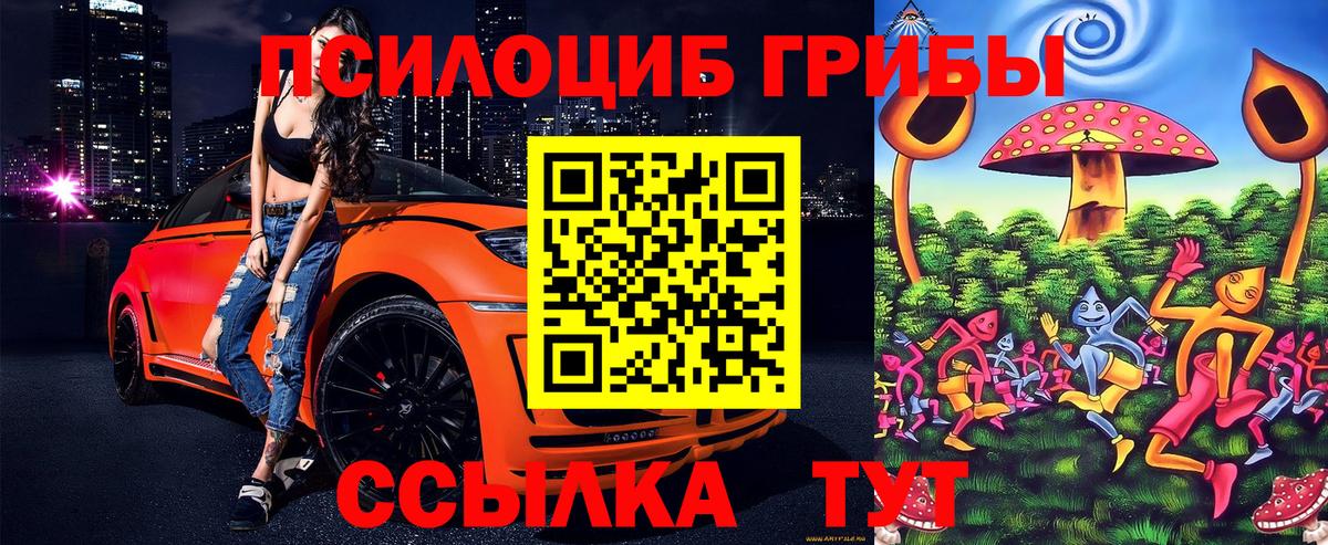 Галлюциногенные грибы Magic Shrooms Торжок
