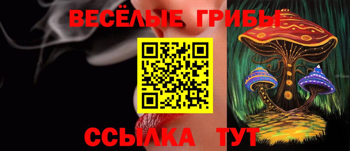 Галлюциногенные грибы мицелий  Вход с VPN  Торжок 