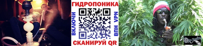 Марихуана гибрид  цены наркотик  гидра онион  Торжок 